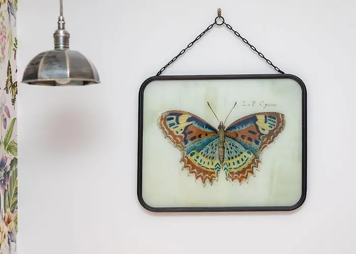 Rent Like X Deo Plaza - Old Town Apartman *